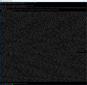 esxcli-update-successful-reboot-entire-screen-patched-together