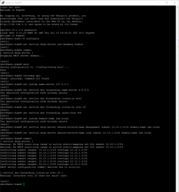 ssh-session-of-post-update-dnsmasq-configuration-by-ITProHobby