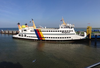 IMG_0422