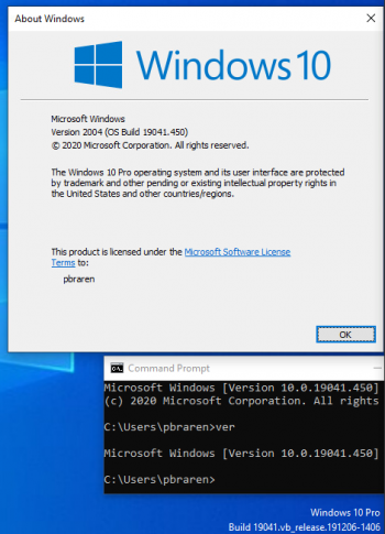 windows2004ver