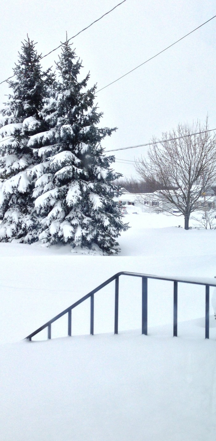 snow-on-front-steps1
