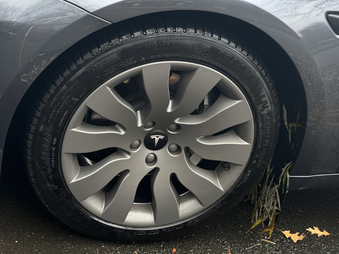 Leaf-guard-IMG_2252.JPG