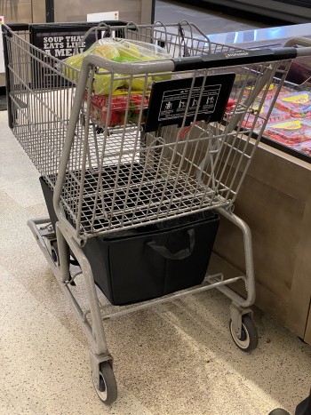 shopping-cart-with-tesla-trunk-container.JPG