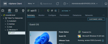 windows-11-as-a-vmware-esxi-vm